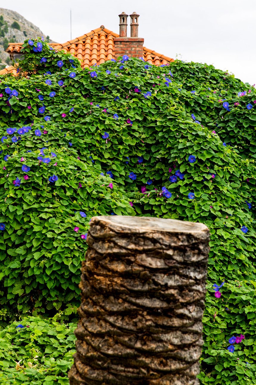 Exploring Dubrovnik, Croatia / for the love of nike / Jennifer Martinez Conway