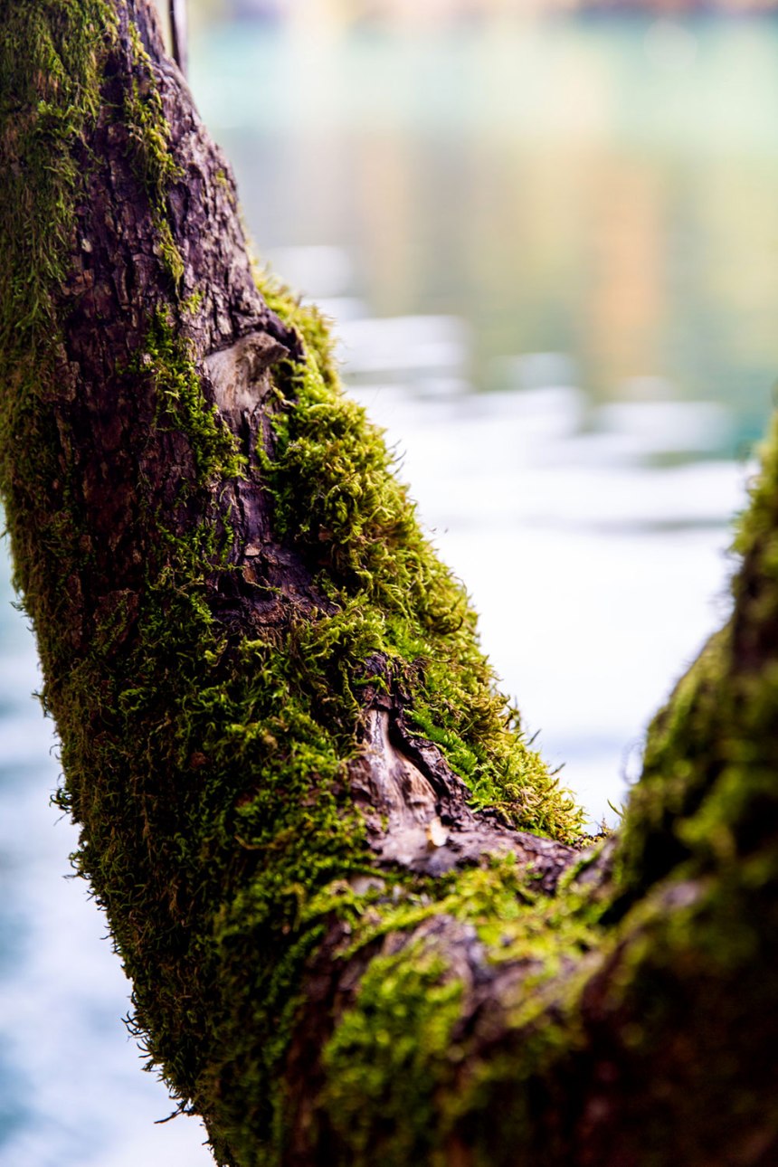 Exploring Plitvice Lakes National Park in Croatia / for the love of nike / Jennifer Martinez Conway