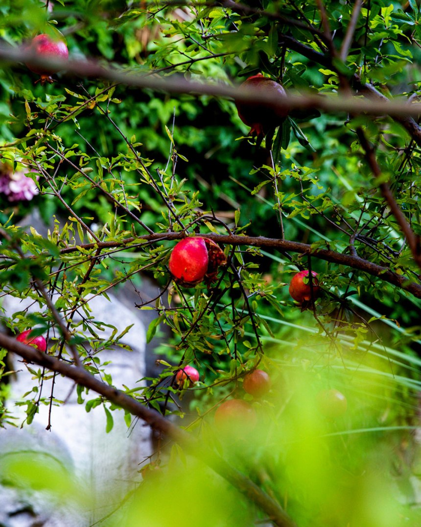 Exploring Split, Croatia / for the love of nike / Jennifer Martinez Conway