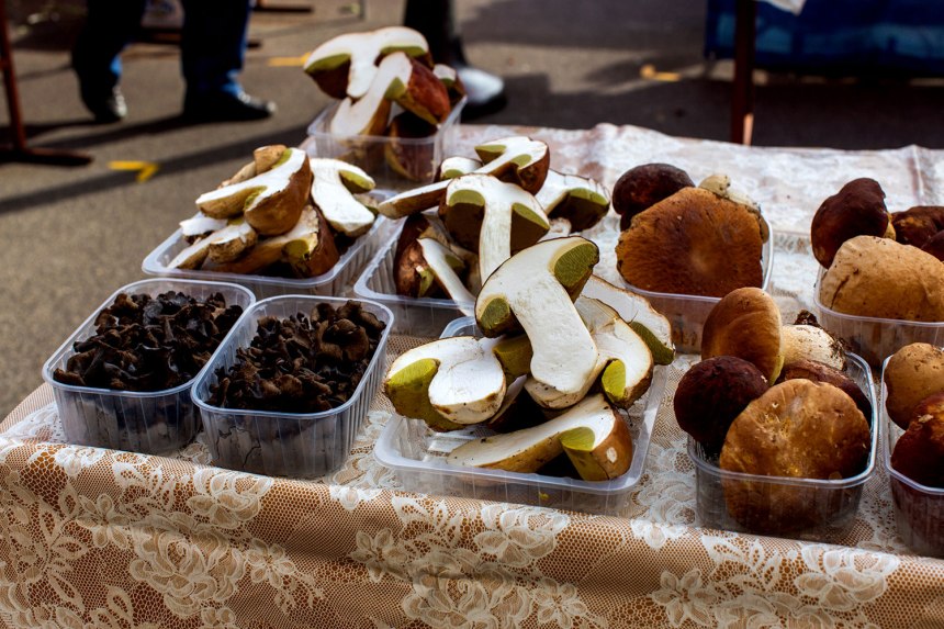 Exploring Zagreb, Croatia / for the love of nike / for the love of nike