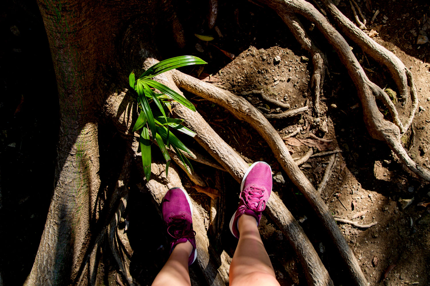 Exploring Tulum, Mexico / for the love of nike / Jennifer Martinez Conway