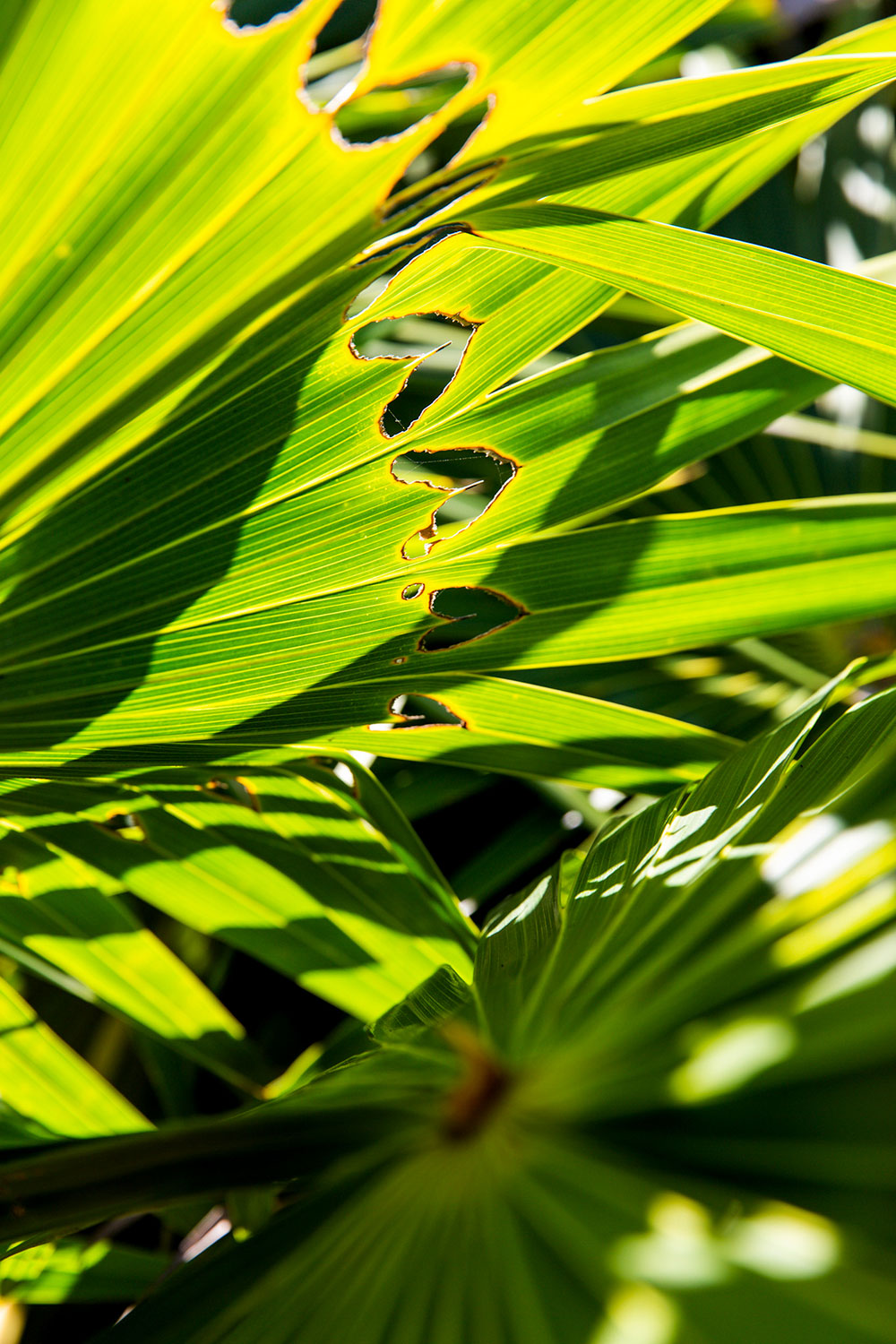 Exploring Tulum, Mexico / for the love of nike / Jennifer Martinez Conway