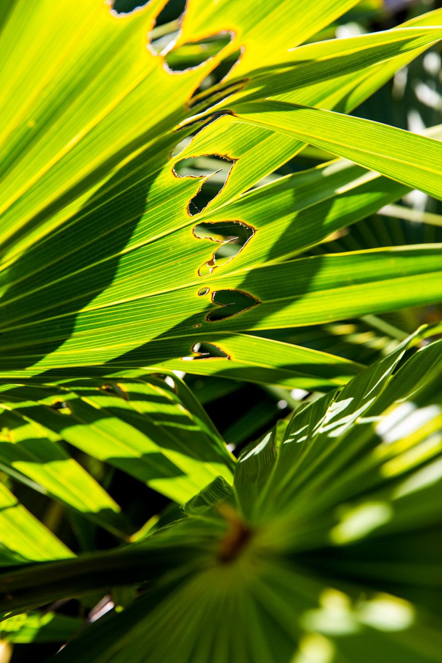 Exploring Tulum, Mexico / for the love of nike / Jennifer Martinez Conway