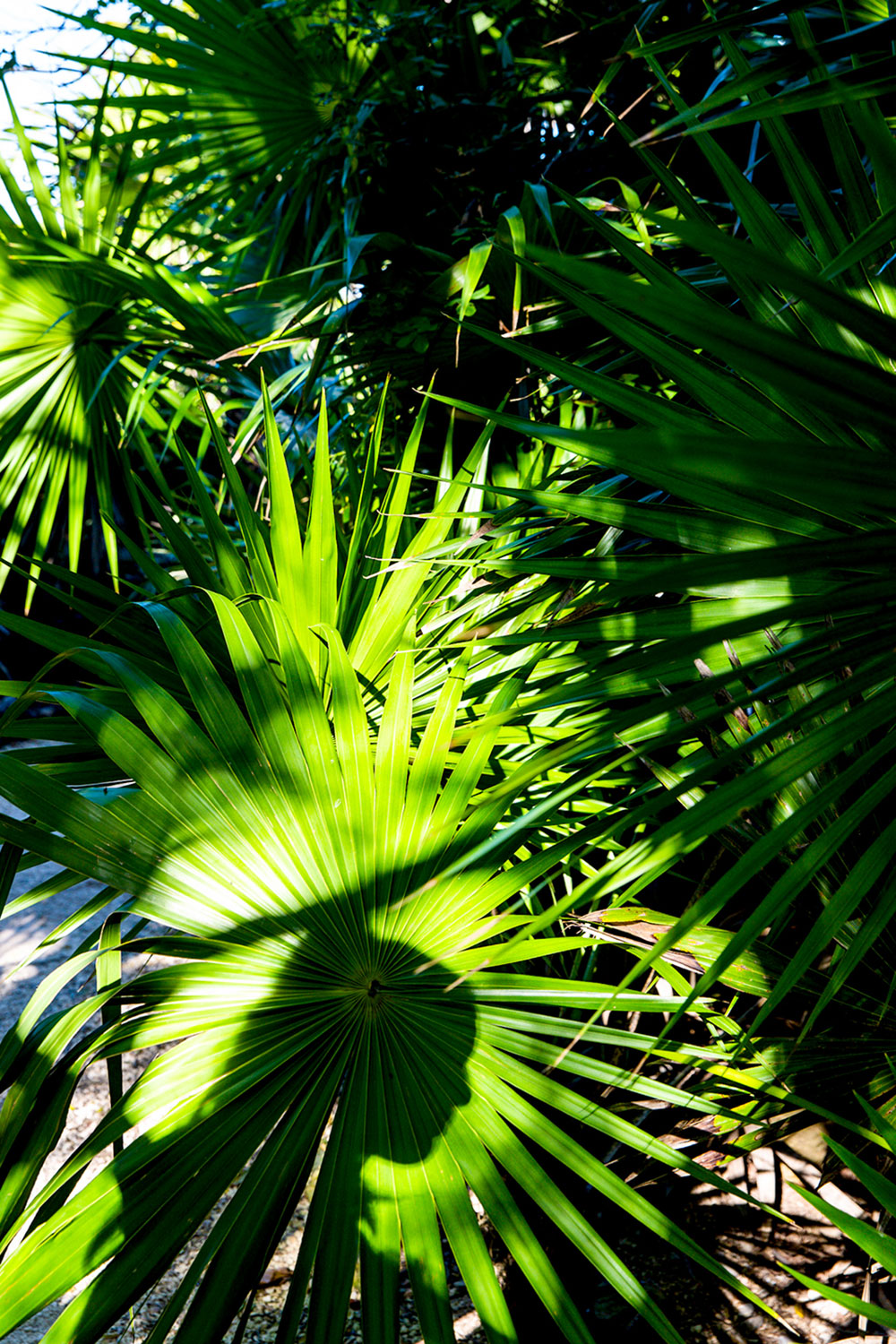 Exploring Tulum, Mexico / for the love of nike / Jennifer Martinez Conway