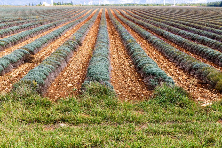 exploring the south of France / for the love of nike