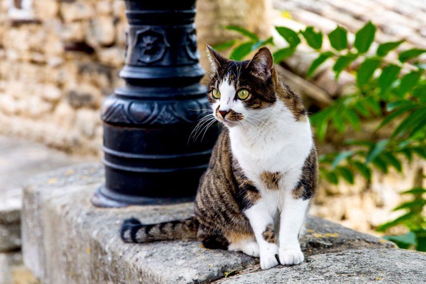 Gordes, Provence-Alpes-Côte d'Azur / for the love of nike / photo by Jennifer Martinez Conway