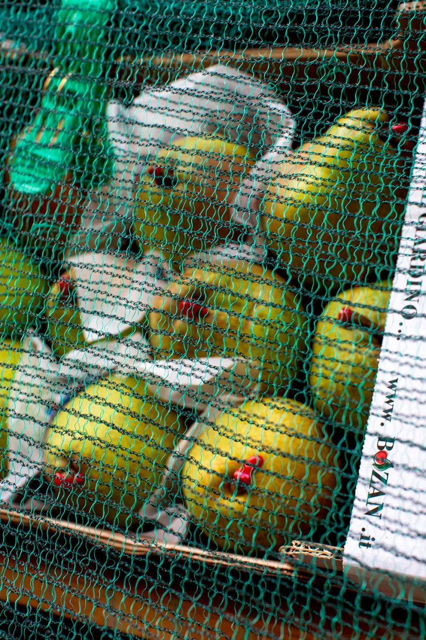 Exploring Milan, Italy / for the love of nike / Jennifer Martinez Conway