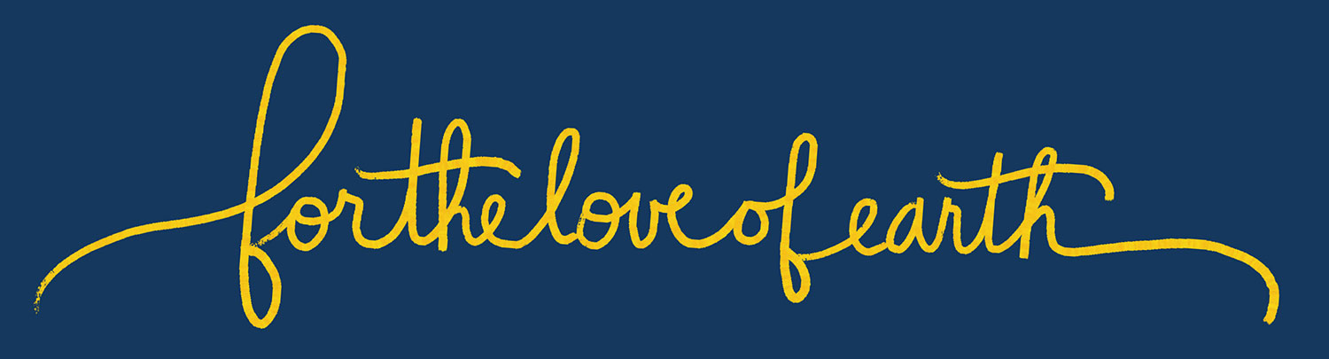 for the love of nike / how to be a bad sneakerhead