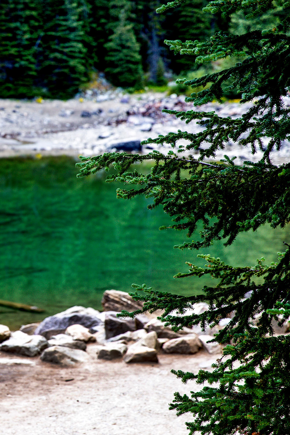Exploring Banff National Park / for the love nike