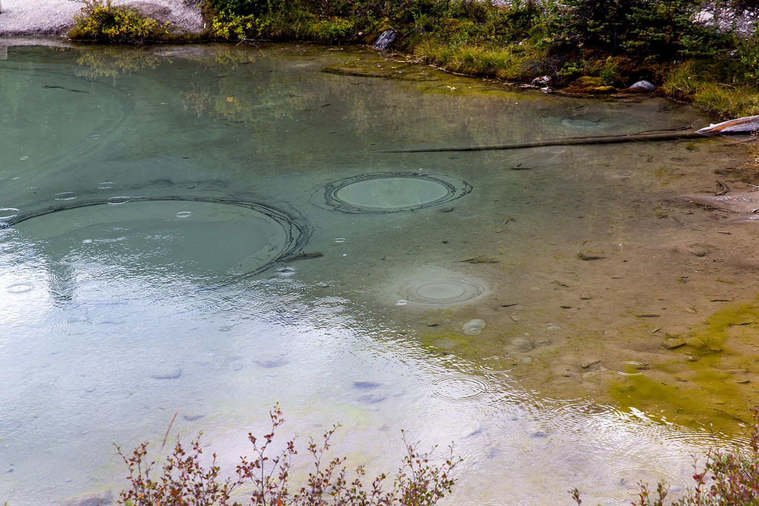 Exploring the Ink Pots Trail in Banff / for the love of nike