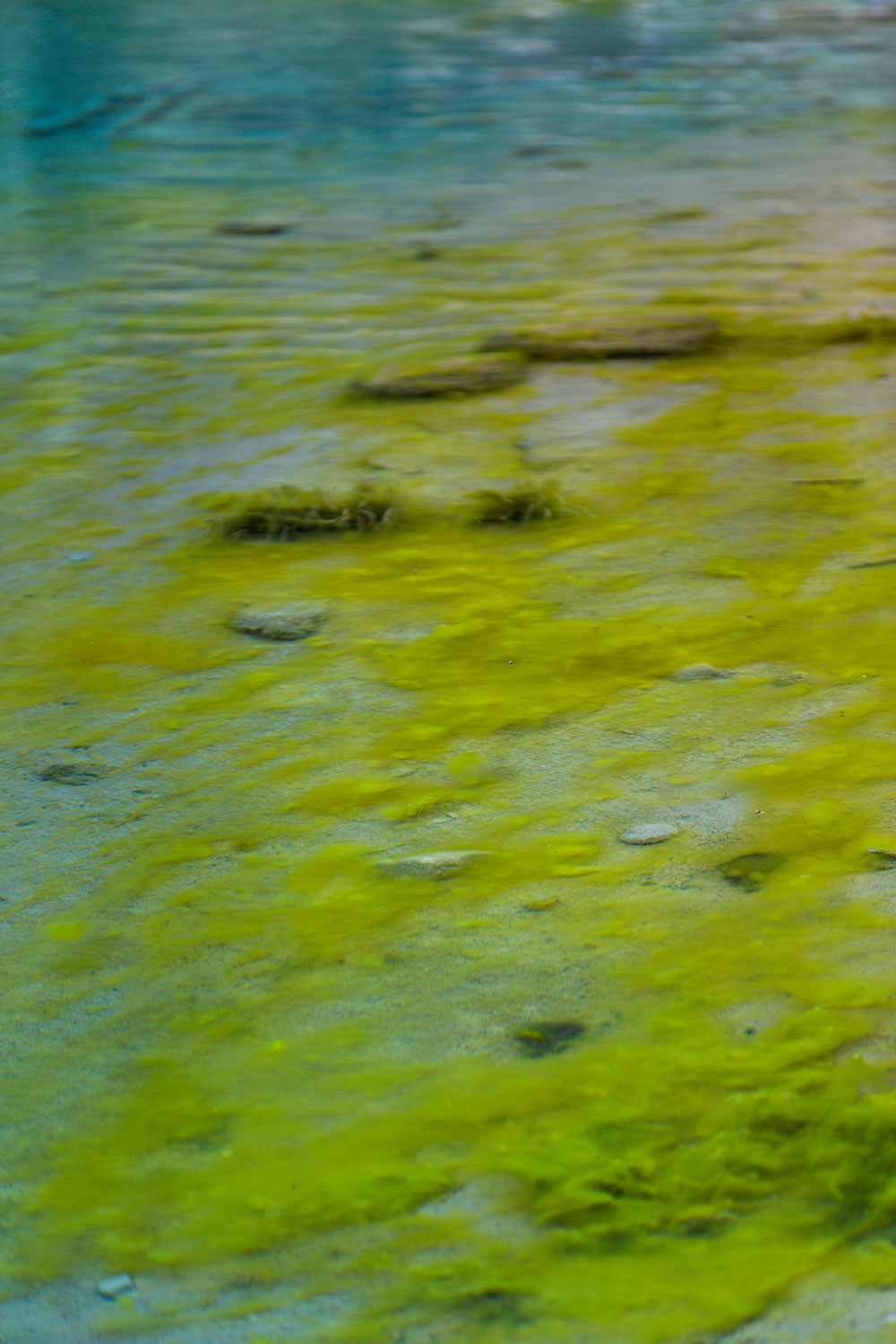 Exploring the Ink Pots Trail in Banff / for the love of nike