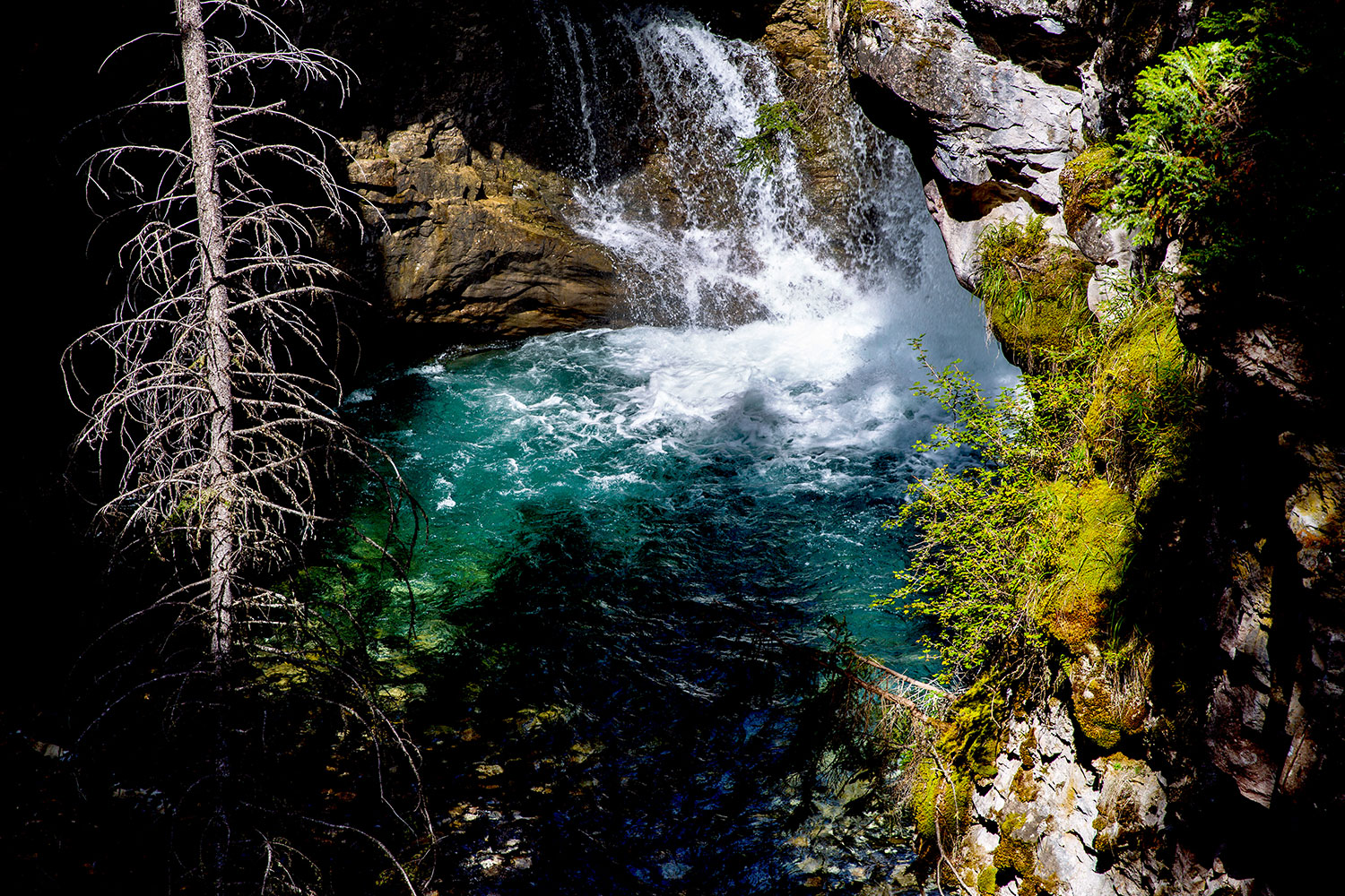 Exploring Johnston Canyon in Banff / for the love of nike