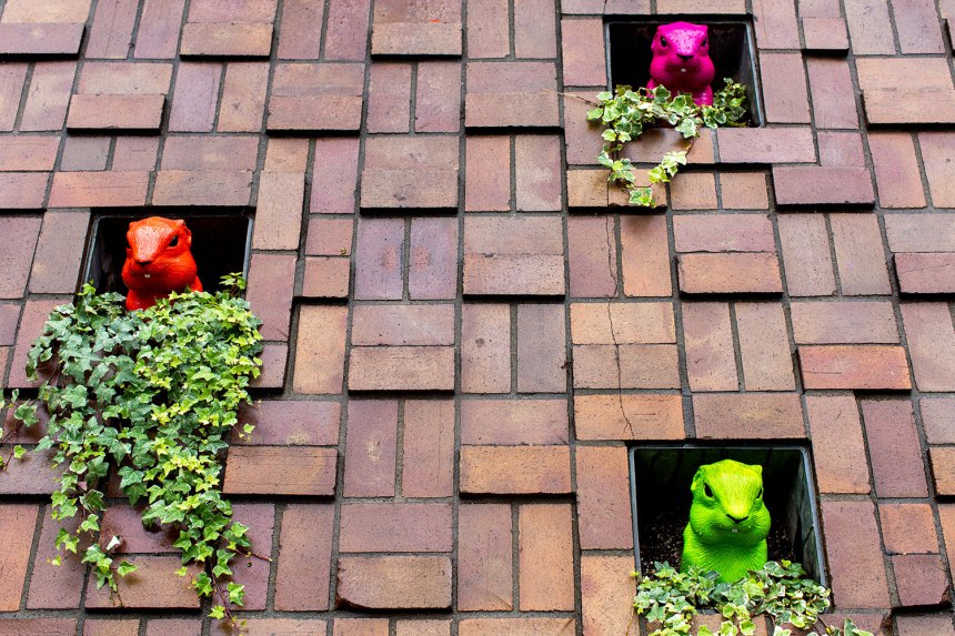 Exploring Calgary, Alberta Canada / for the love of nike