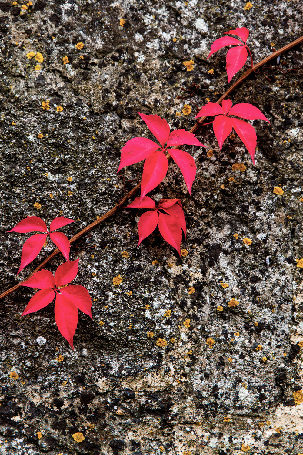 Exploring Oppède, Alpes-Côte d'Azur / for the love of nike