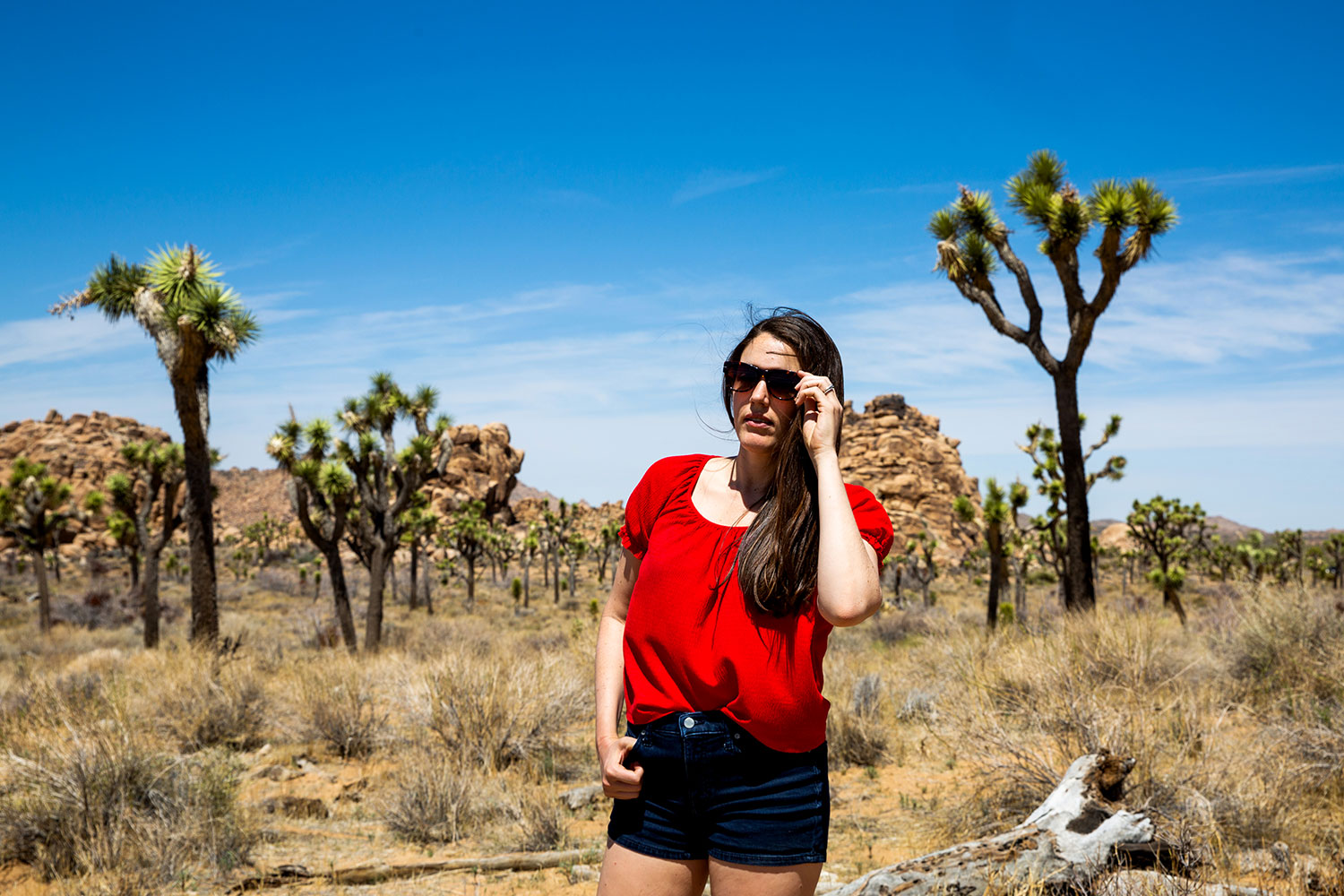 Joshua Tree / for the love of nike / Jennifer Martinez Conway