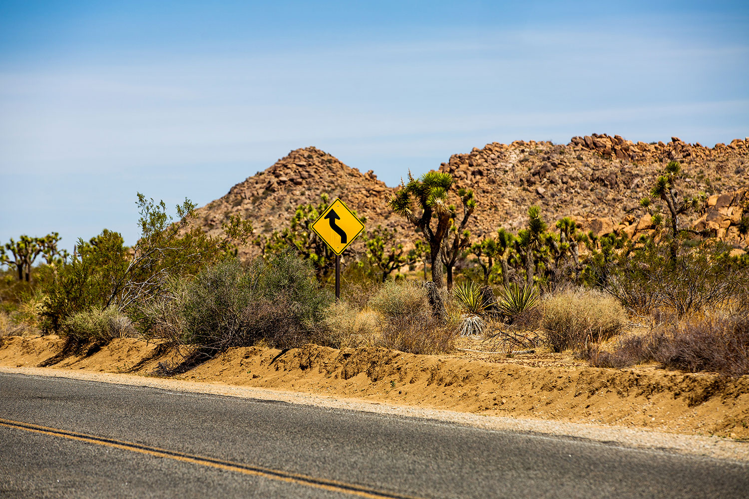 Joshua Tree / for the love of nike / Jennifer Martinez Conway