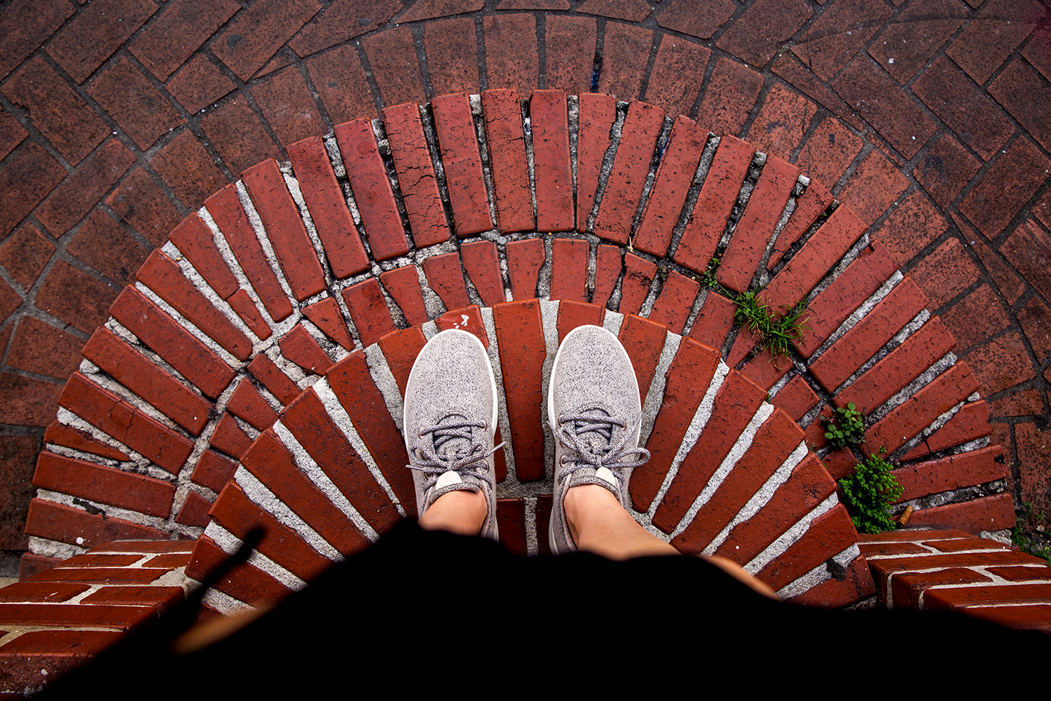 fresh allbirds in NOLA / Jennifer Martinez Conway