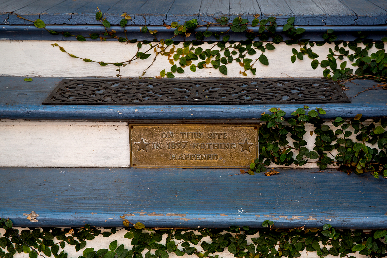 fresh allbirds in NOLA / Jennifer Martinez Conway