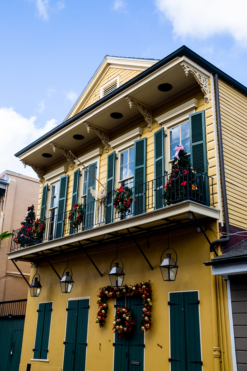 fresh allbirds in NOLA / Jennifer Martinez Conway