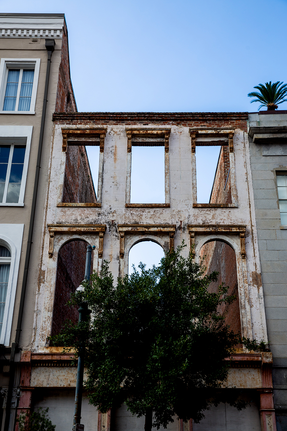 fresh allbirds in NOLA / Jennifer Martinez Conway