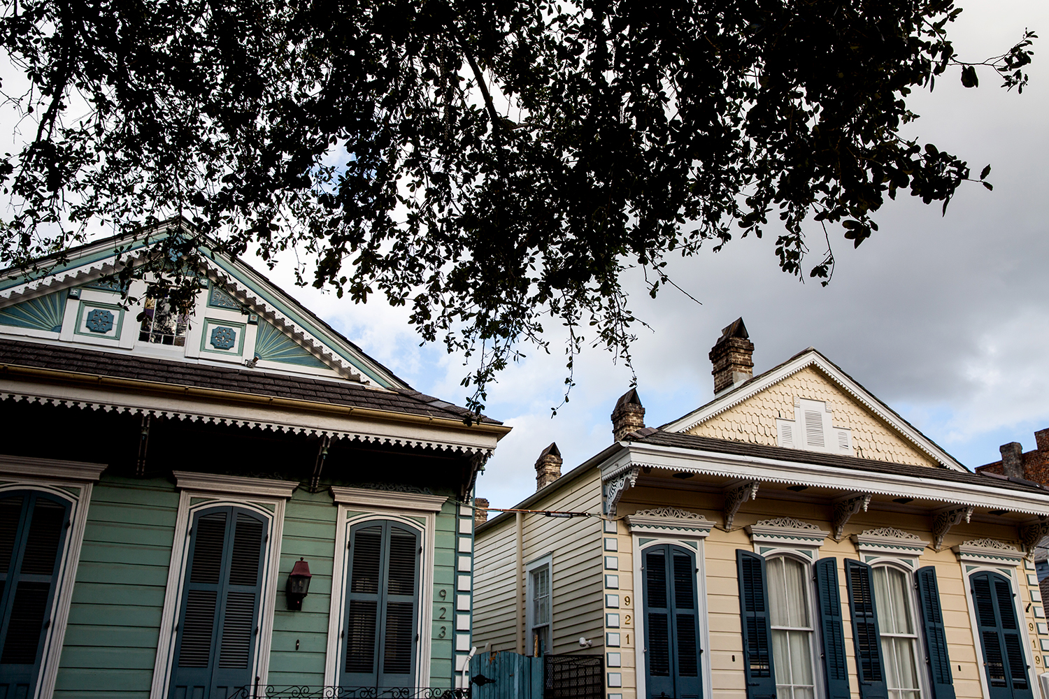 fresh allbirds in NOLA / Jennifer Martinez Conway