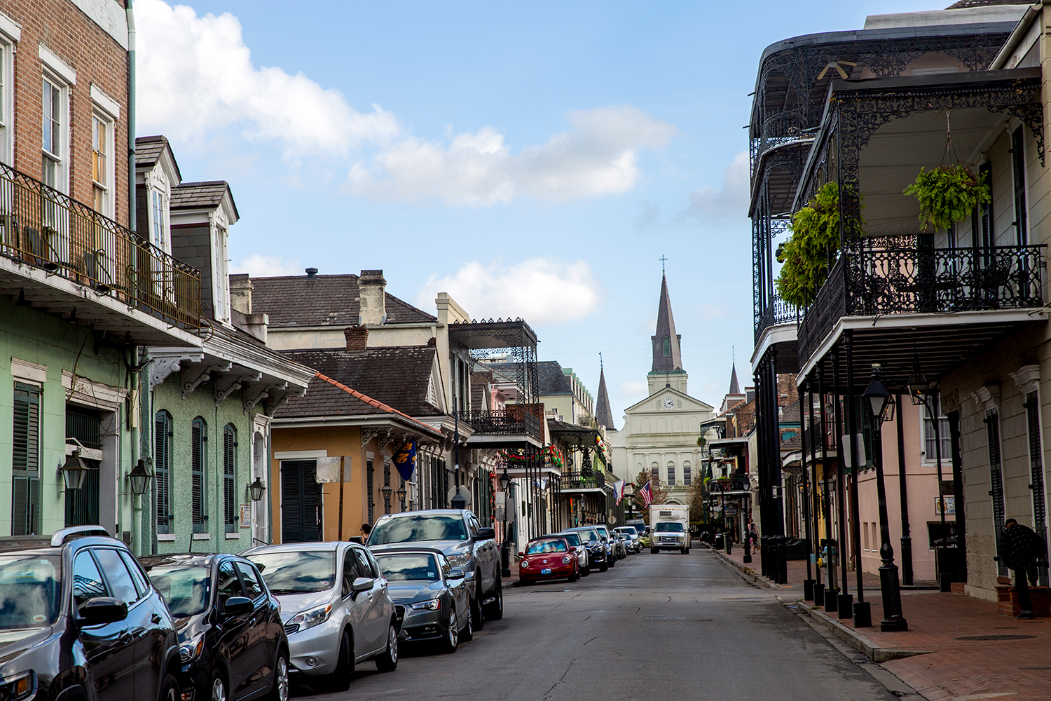 fresh allbirds in NOLA / Jennifer Martinez Conway