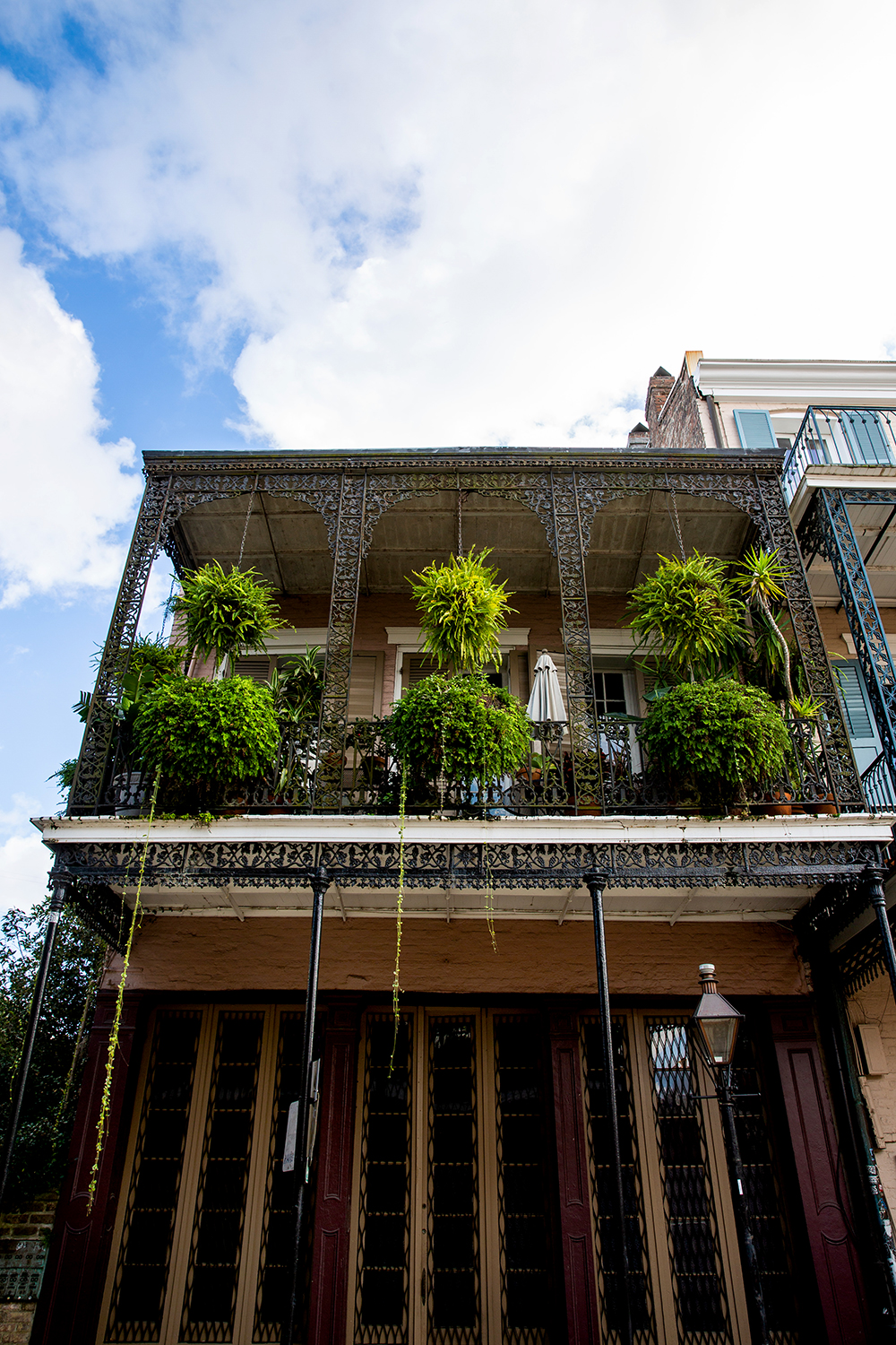 fresh allbirds in NOLA / Jennifer Martinez Conway