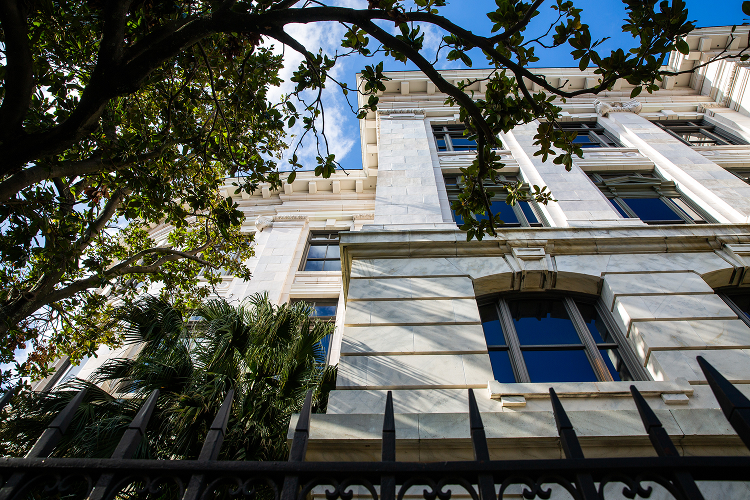 fresh allbirds in NOLA / Jennifer Martinez Conway