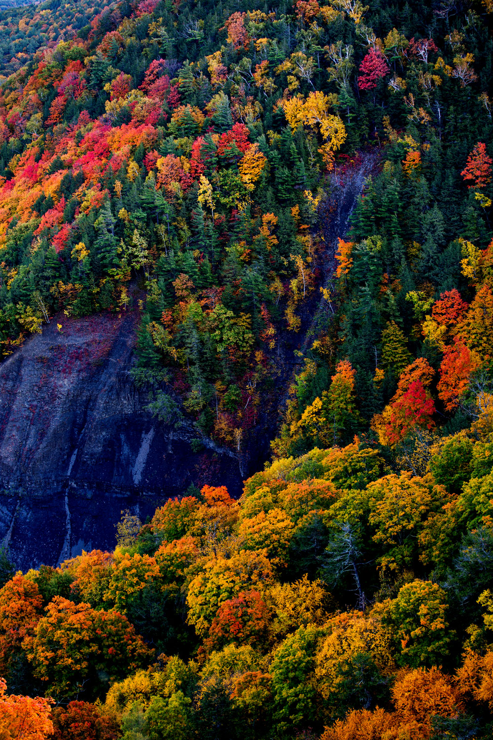 New England Road Trip / Albany, New York / for the love of nike