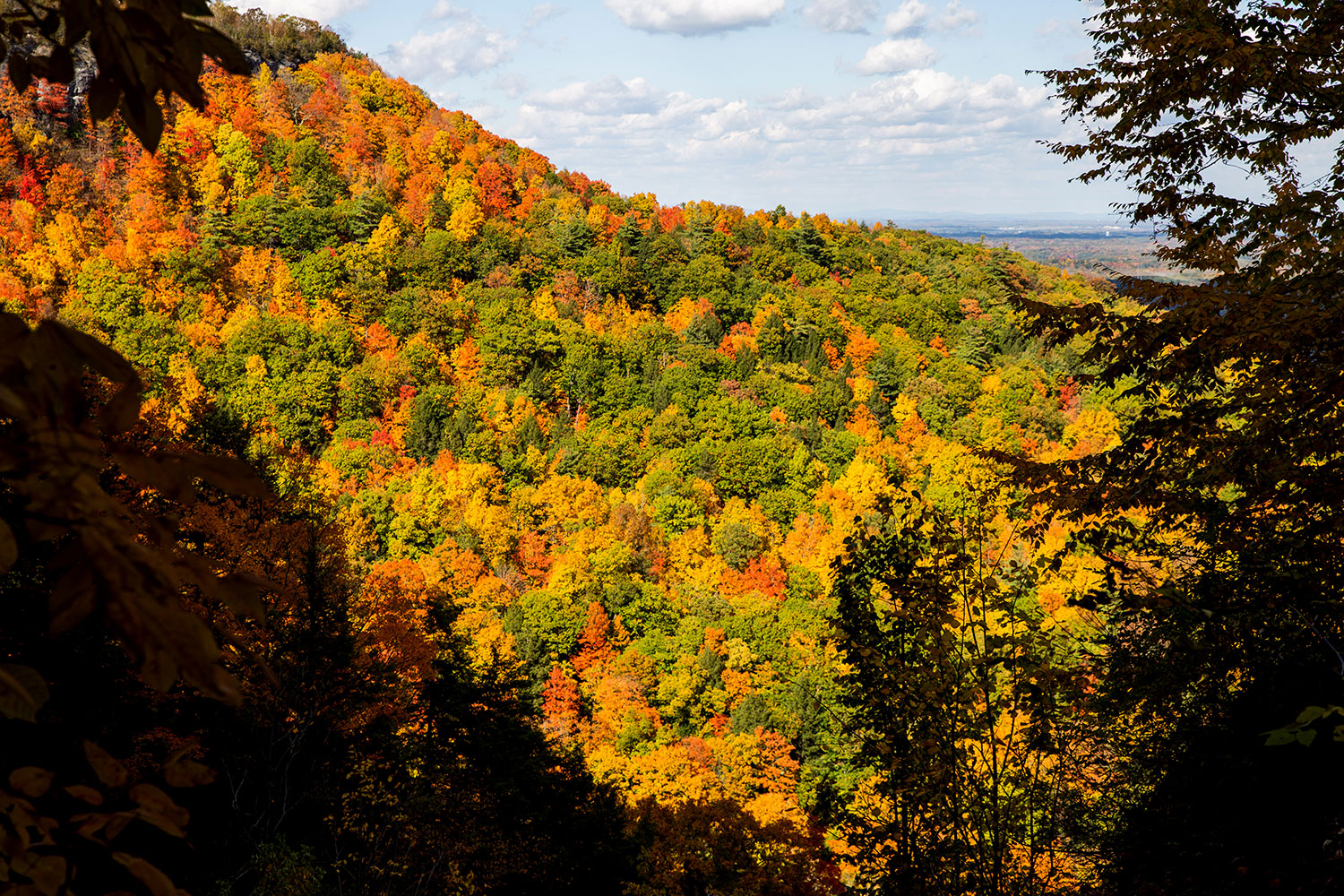 New England Road Trip / Albany, New York / for the love of nike