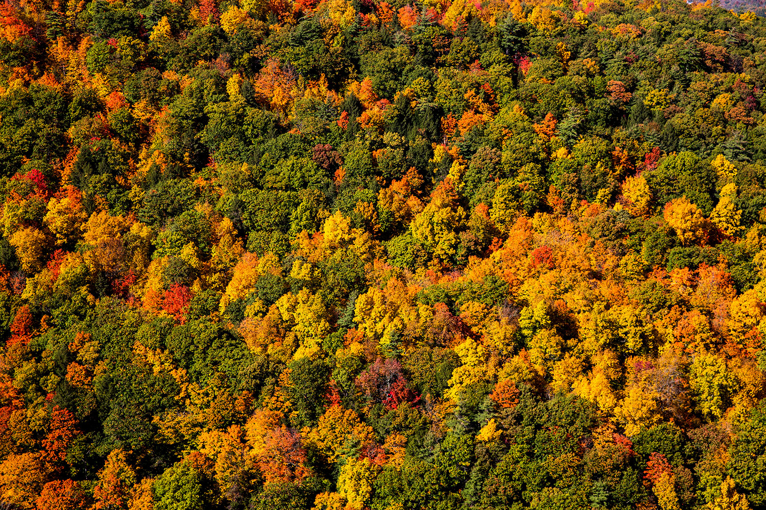 New England Road Trip / Albany, New York / for the love of nike