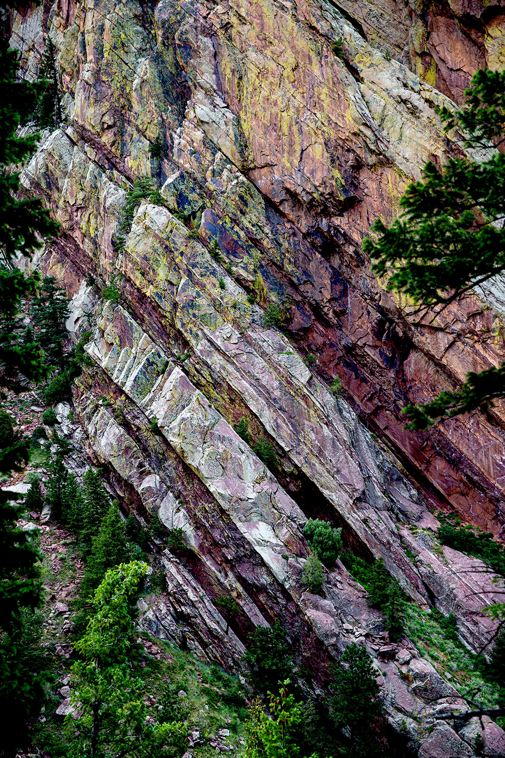 Eldorado, Colorado / for the love of nike