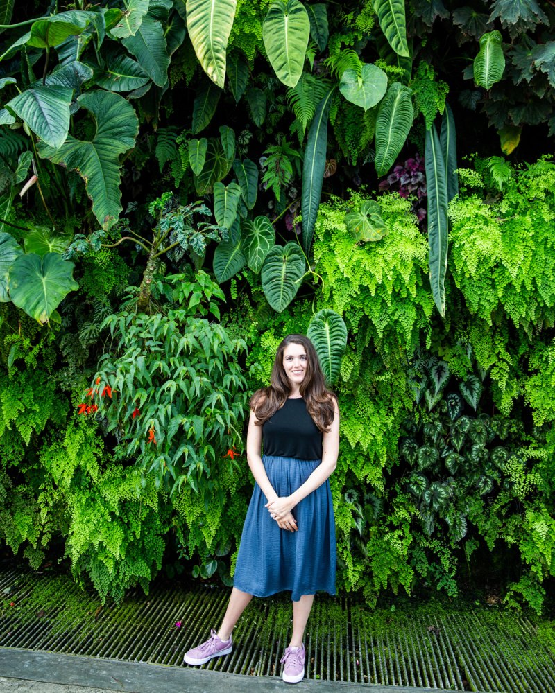 for the love of nike / Singapore