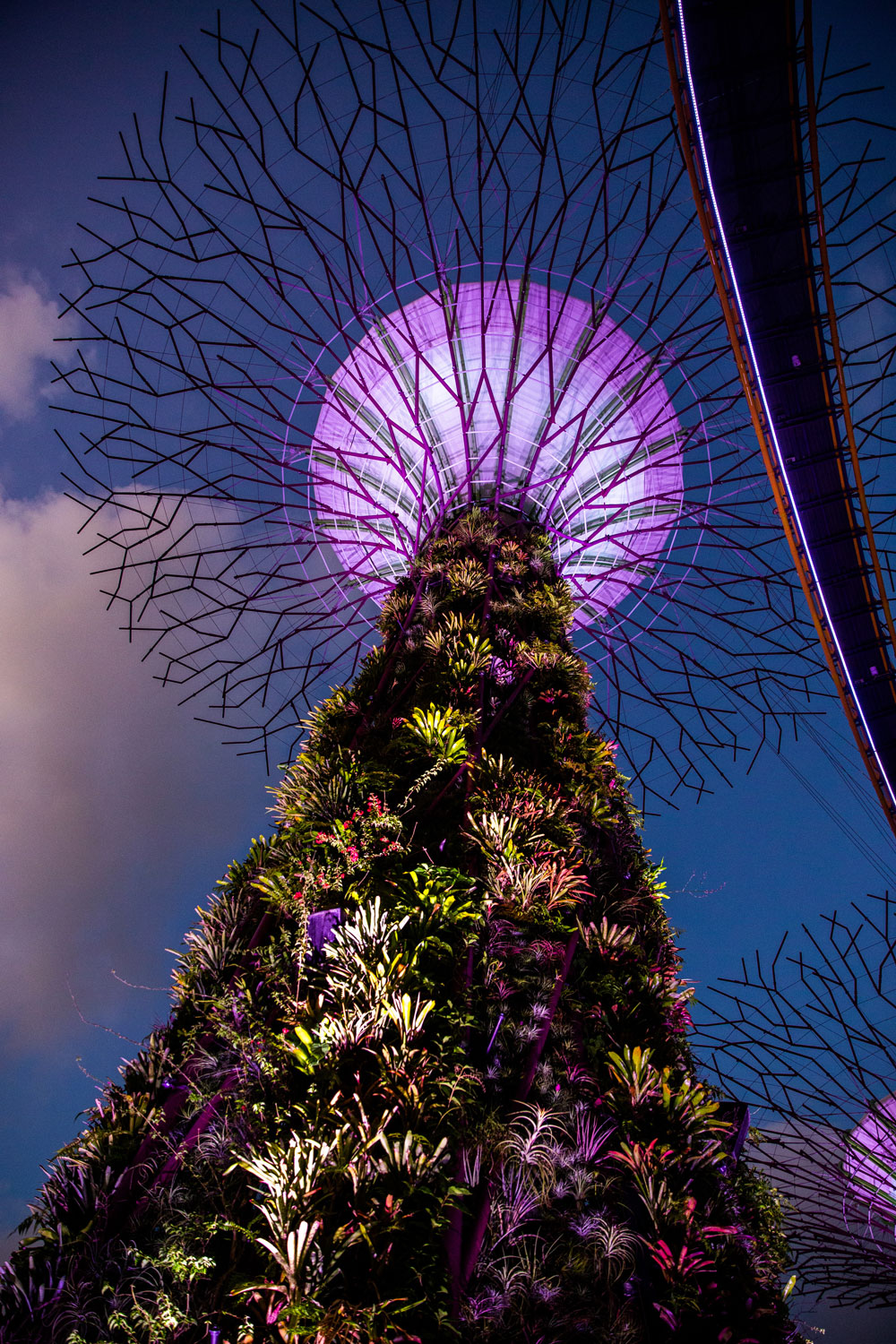 for the love of nike / Singapore