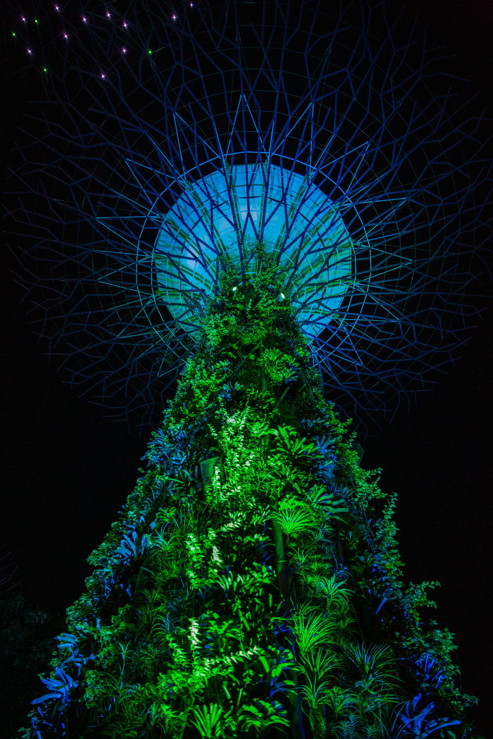 for the love of nike / Singapore