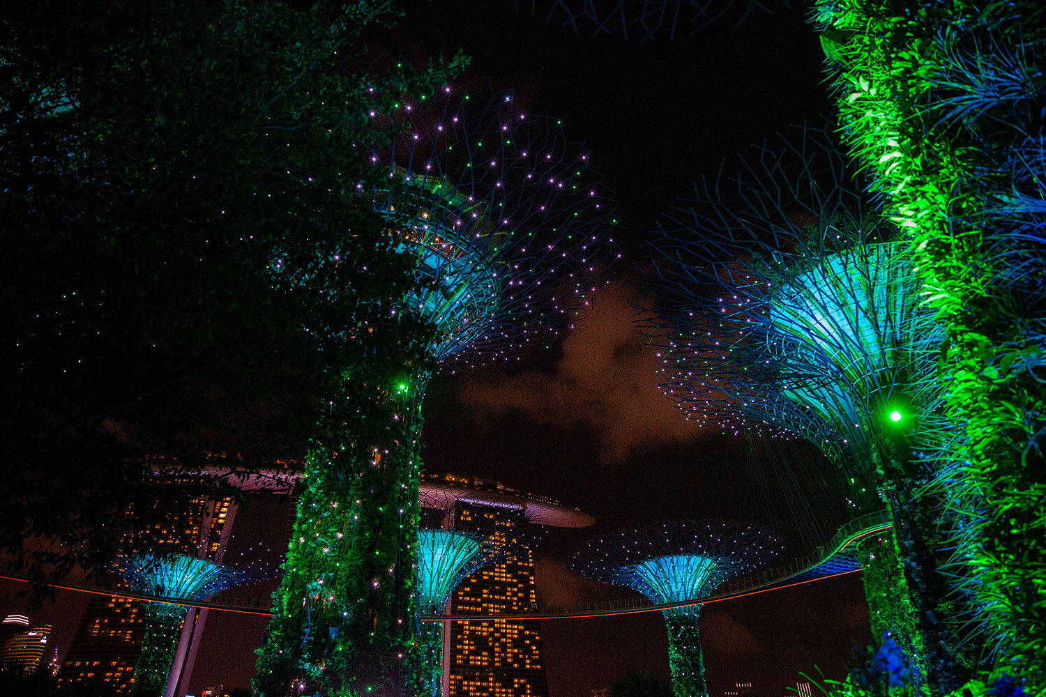 for the love of nike / Singapore