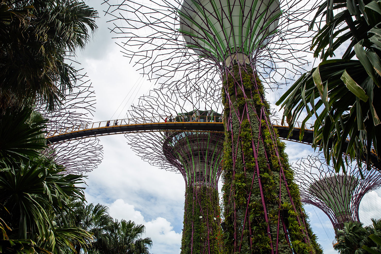 for the love of nike / Singapore