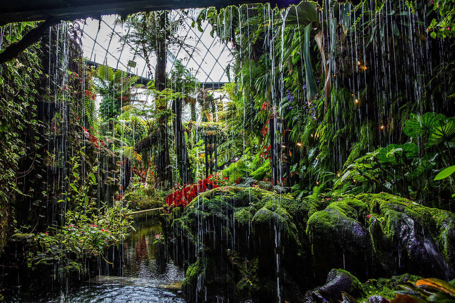 for the love of nike / Singapore