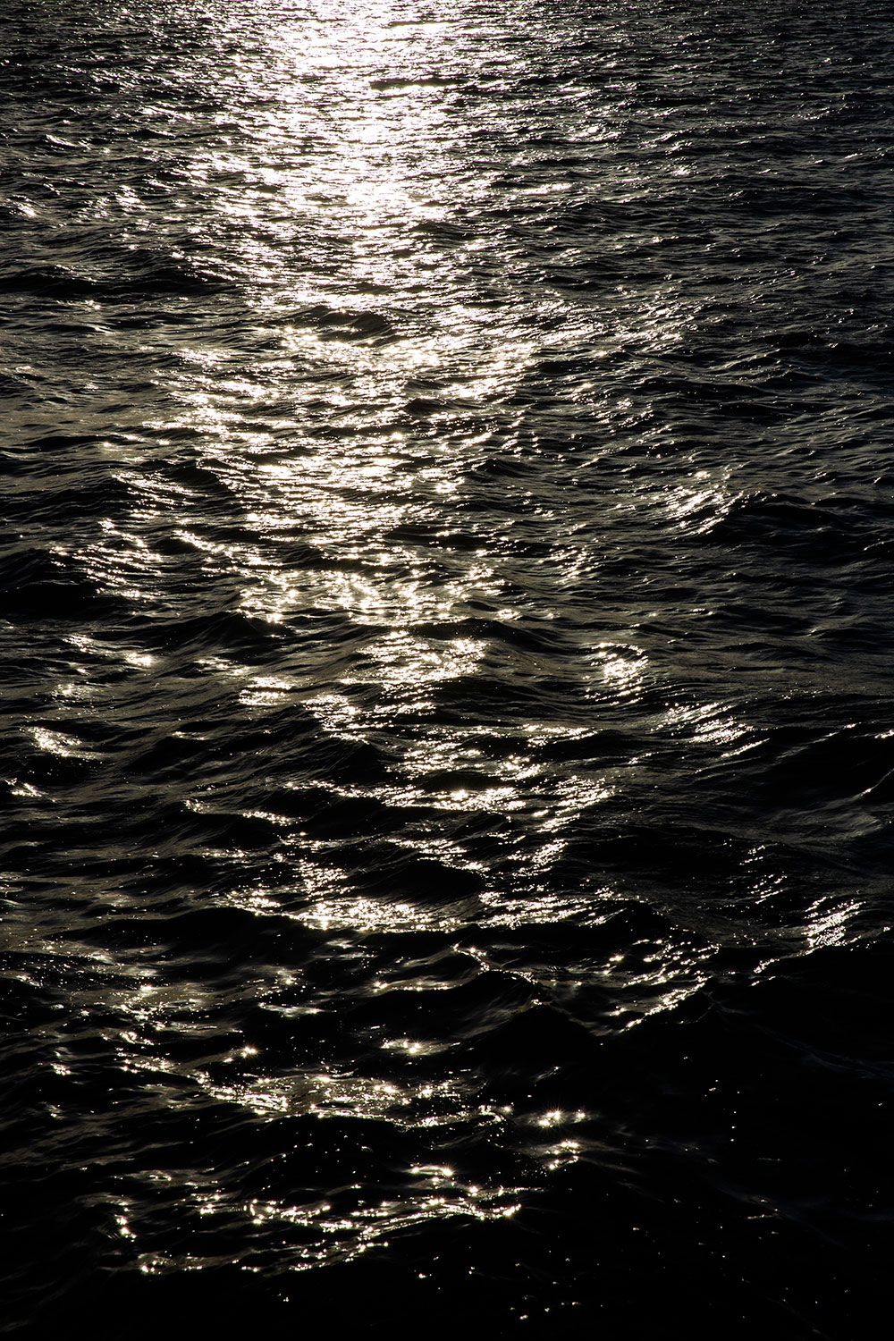 The Florida Keys / for the love of nike