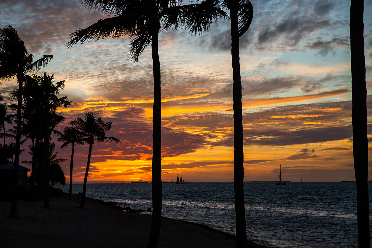 The Florida Keys / for the love of nike