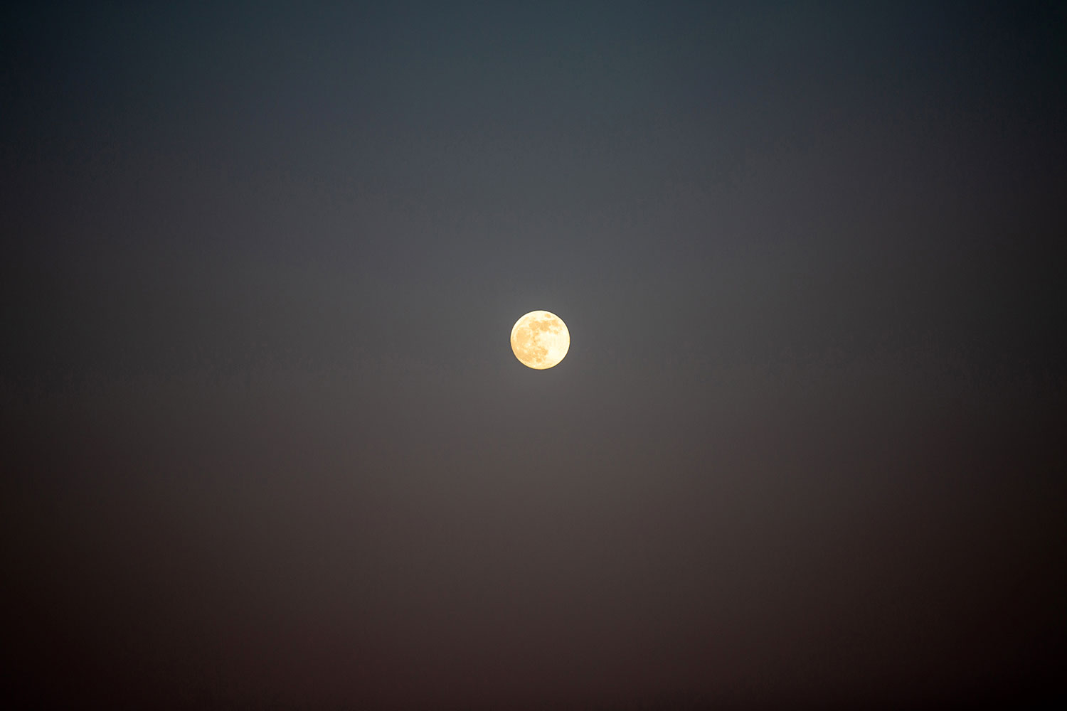 Exploring Florence, Italy / for the love of nike