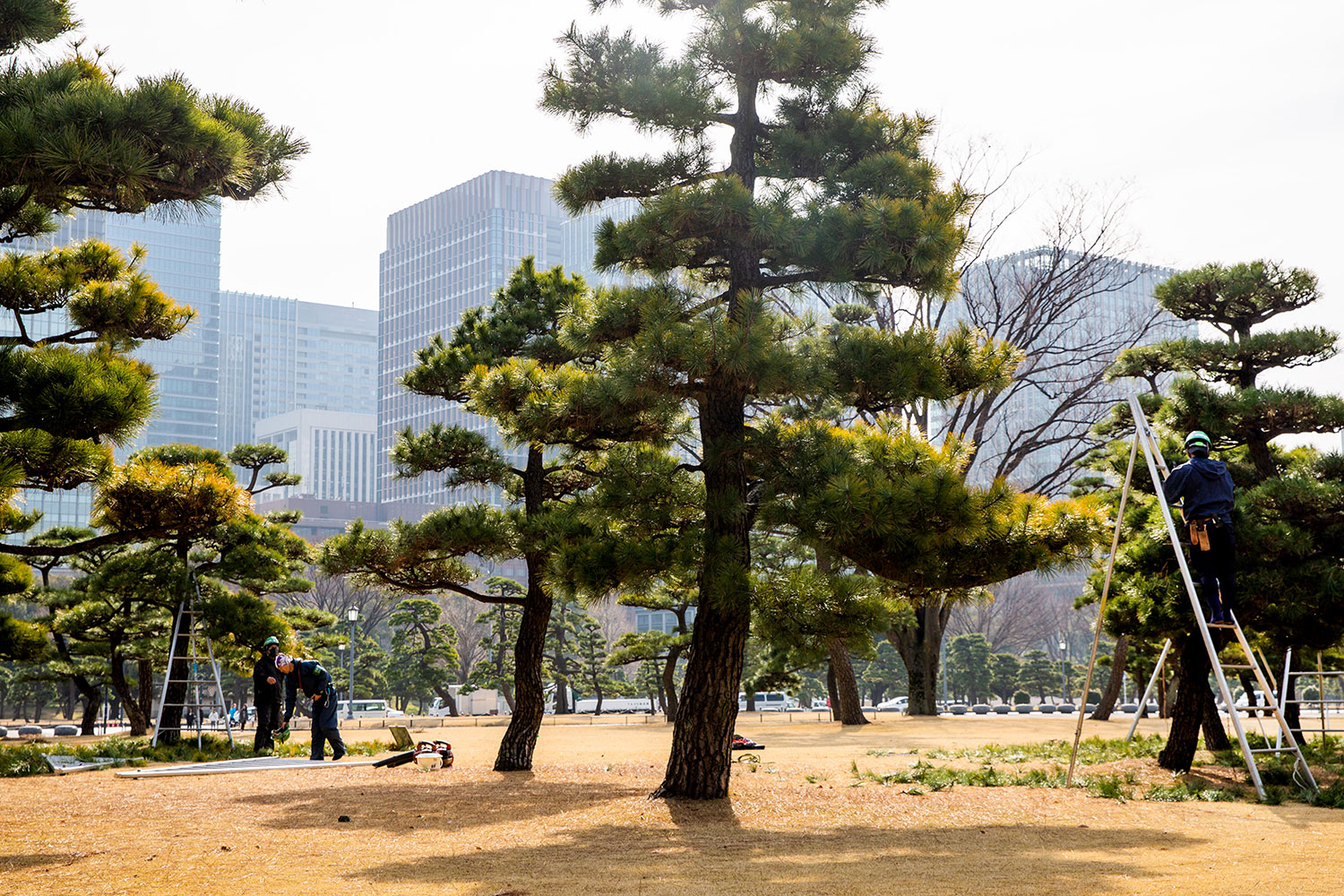 exploring Tokyo / for the love of nike