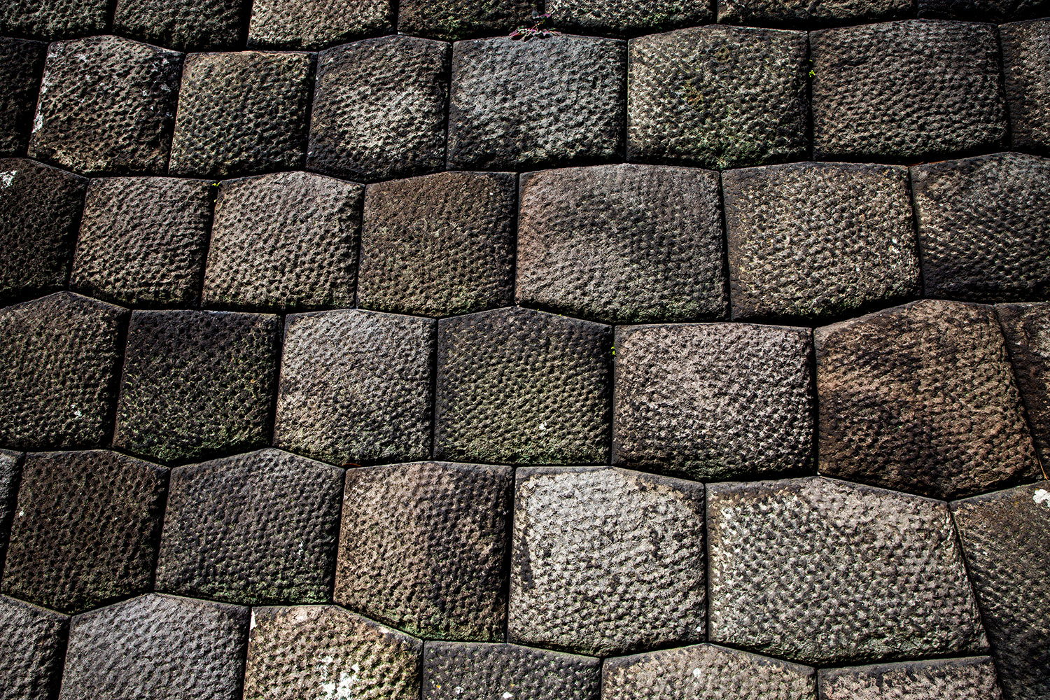 exploring Tokyo / for the love of nike