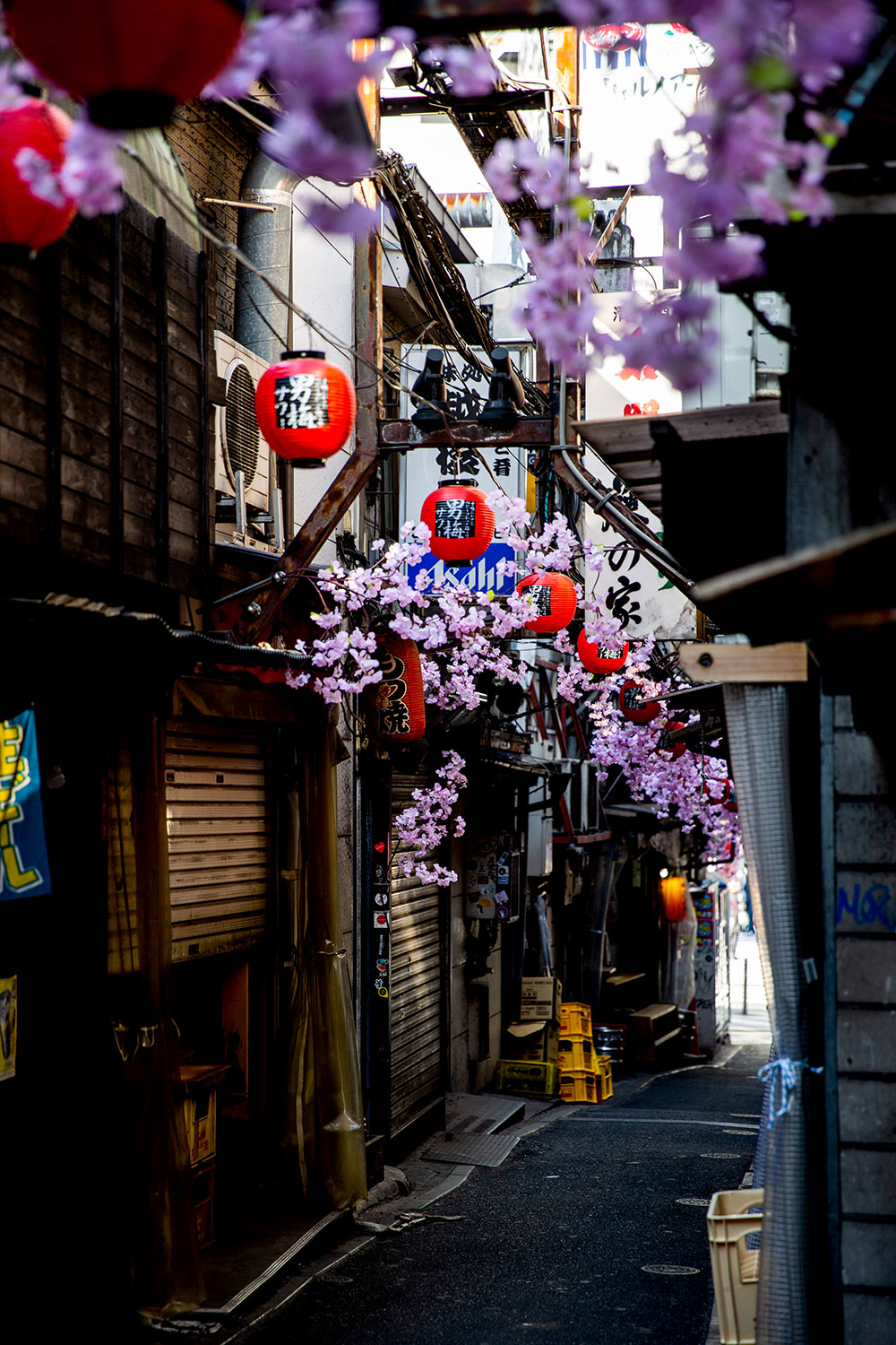 exploring Tokyo / for the love of nike