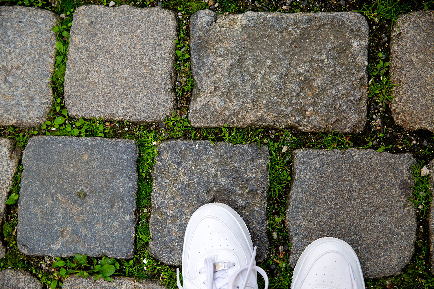 exploring Vienna / for the love of nike